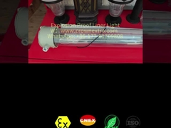 چراغ فلورسنت ضد انفجار تک لوله از جنس استیل ضد زنگ ضد خوردگی T8 Liner Grp