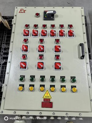 پنل کنترل ضد انفجار با کیفیت بالا IP66 WF2