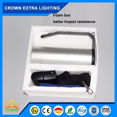 نورپردازی 100 وات ضد انفجار LED از جمله 16 ساعت نورپردازی اضطراری LED مناسب برای مکان های خطرناک