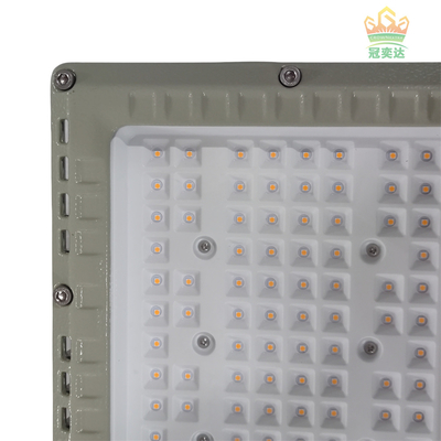 MEANWELL Drive IP66 لامپ LED در فضای باز رنگ سفارشی 100-277V بازار 100W