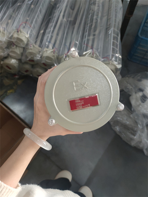 کلاس 1 Div 1 Ex نور فلوروسنت خطی ثابت با ATEX IECEx RoHS CNEX ISO برای تاسیسات دریایی دریایی