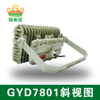 ATEX چراغ های سیلاب ضد انفجار LED با طول عمر 50000hrs IP66 WF2 حفاظت گواهینامه IECEx