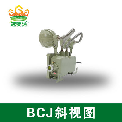 چراغ اضطراری ضد شعله نصب شده در دیوار/سقف با آلومینیوم درجه دریایی و 2*3 وات