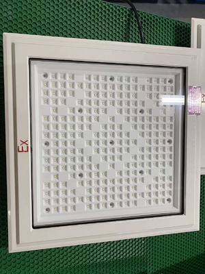 چراغ های ضد انفجار LED با لامپ CREE و دسته 50-240 وات