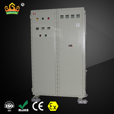 IP66 ضد انفجار سوئیچ سطح نصب 2 قطب سطح حفاظت بالا ماندگار
