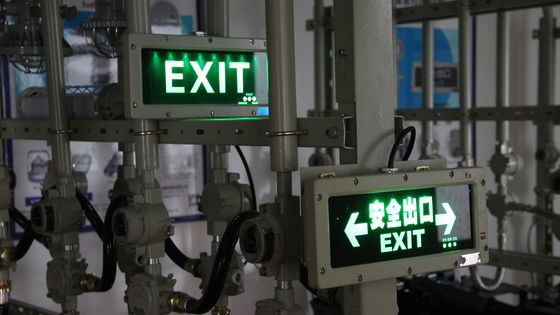 چراغ هشدار اضطراری ضد آب آلومینیوم IP66 ضد انفجار LED CE ATEX 3W چراغ علامت خروج ضد انفجار LED