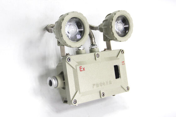 ساخت چین 220 ولت ارزان قیمت 2×3W/2×5W چراغ اضطراری نصب شده روی دیوار و سقف