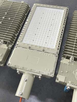 چراغ سیلابی/خیابانی ضد انفجار ATEX/IECEx LED با توان 50-1000 وات، IK10، IP66 برای Zone 1&2/Zone 21&Zone 22